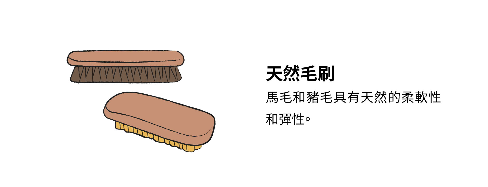 天然毛刷:馬毛和豬毛具有天然的柔軟性和彈性。